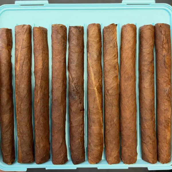 A row of hand-rolled Blue Collar Tobacco cigars in a travel case